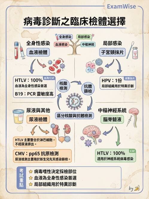 醫檢師 - 病毒檢驗技術 - AI 圖文解析預覽