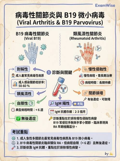 醫檢師 - 細小病毒與多瘤病毒 - AI 圖文解析預覽