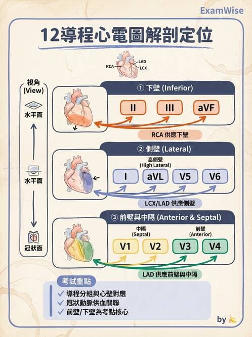 醫檢師 - 心電圖基礎與判讀 - AI 圖文解析預覽