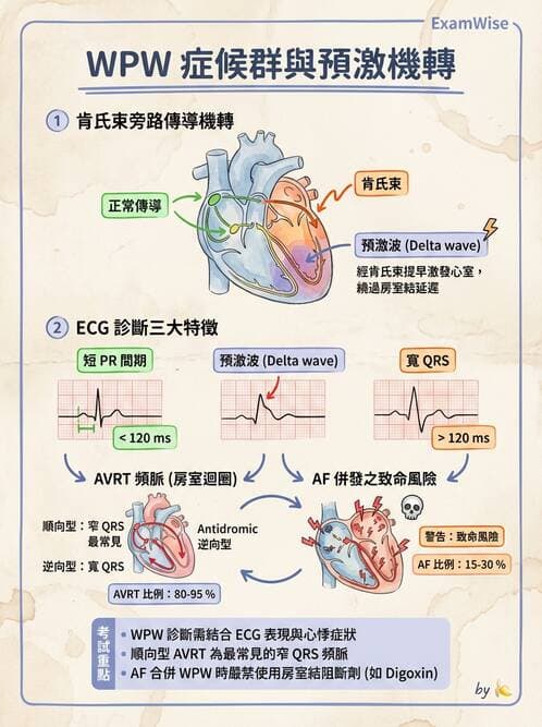 醫檢師 - 心肌病變與特殊心電圖 - AI 圖文解析預覽