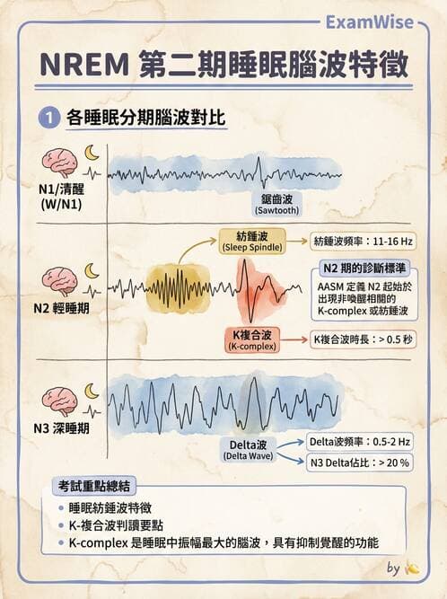 醫檢師 - 腦電圖檢查 - AI 圖文解析預覽