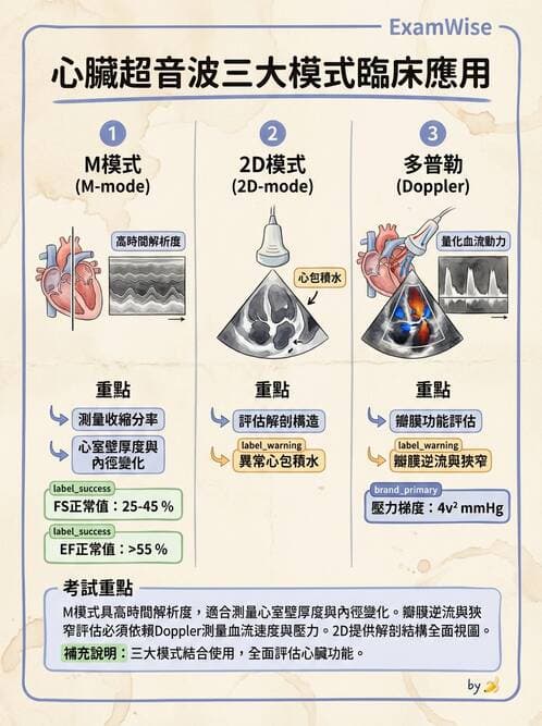 醫檢師 - 超音波檢查 - AI 圖文解析預覽