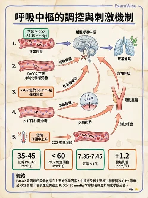 醫檢師 - 綜合性試題 - AI 圖文解析預覽