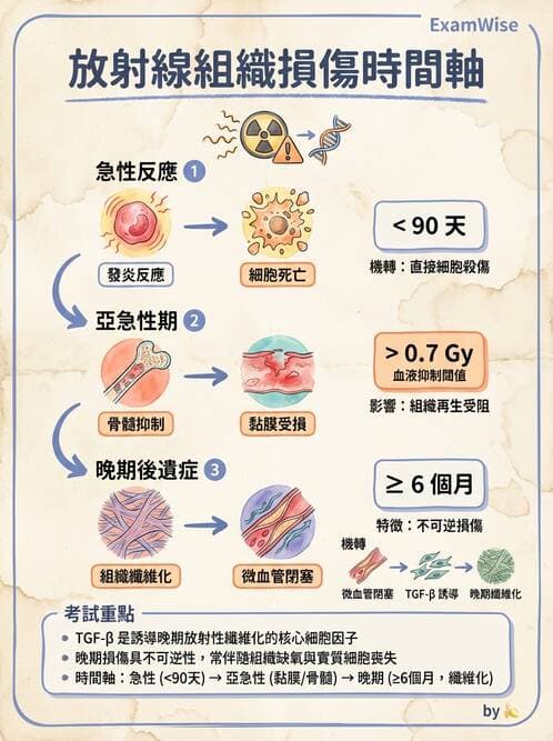醫檢師 - 物理和化學傷害及營養疾病 - AI 圖文解析預覽