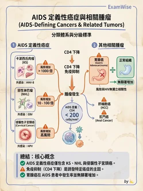 醫檢師 - 免疫疾病 - AI 圖文解析預覽