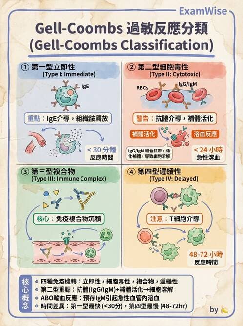 醫檢師 - 免疫疾病 - AI 圖文解析預覽