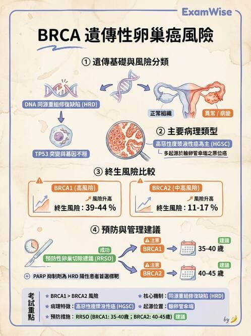 醫檢師 - 乳房及女性生殖疾病 - AI 圖文解析預覽