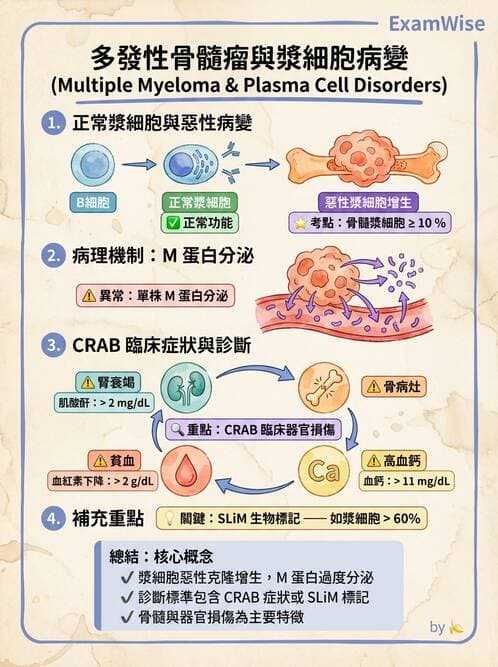 醫檢師 - 造血系統疾病 - AI 圖文解析預覽