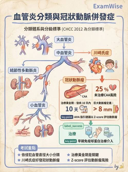 醫檢師 - 心血管疾病 - AI 圖文解析預覽