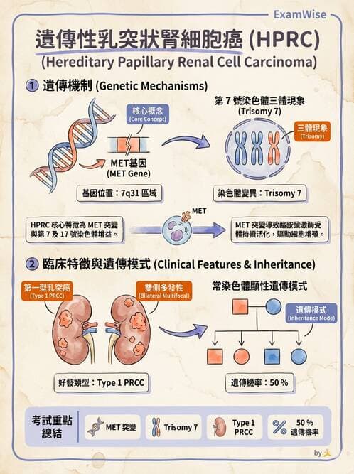 醫檢師 - 腎臟泌尿及男性生殖疾病 - AI 圖文解析預覽