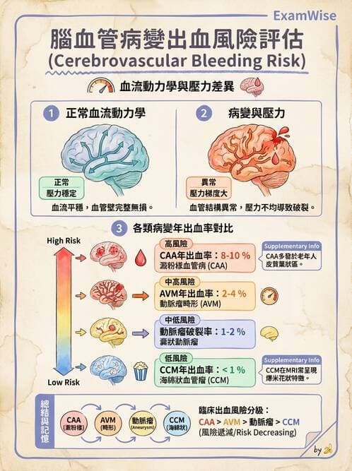 醫檢師 - 神經系統疾病 - AI 圖文解析預覽