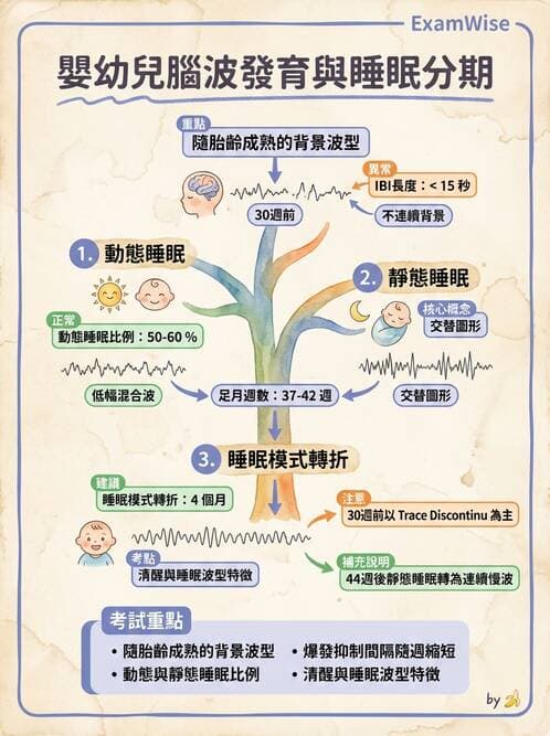 醫檢師 - 腦電圖檢查 - AI 圖文解析預覽