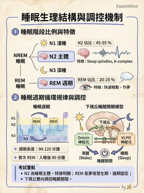 醫檢師 - 神經肌肉與睡眠檢查 - AI 圖文解析預覽