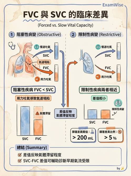醫檢師 - 肺功能判讀與氣體交換 - AI 圖文解析預覽