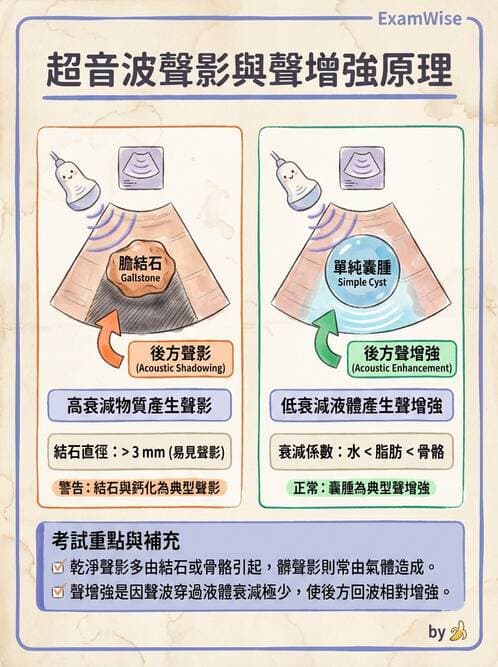 醫檢師 - 超音波檢查 - AI 圖文解析預覽