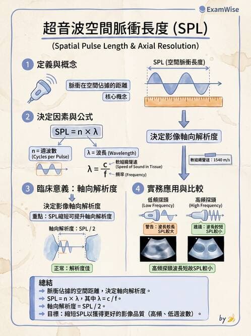 醫檢師 - 超音波檢查 - AI 圖文解析預覽