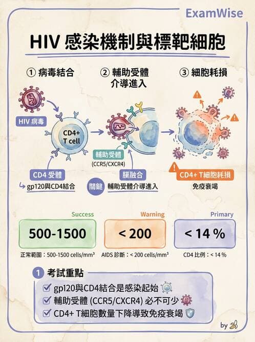 醫檢師 - 免疫疾病 - AI 圖文解析預覽