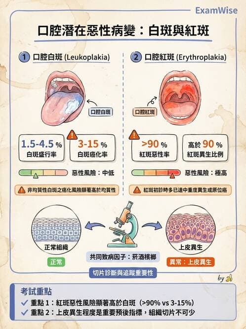 醫檢師 - 消化肝膽疾病 - AI 圖文解析預覽