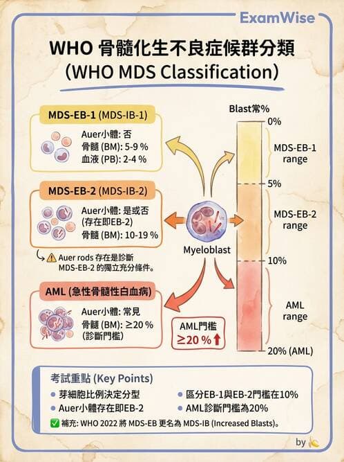 醫檢師 - 慢性血液腫瘤與骨髓增生疾患 - AI 圖文解析預覽