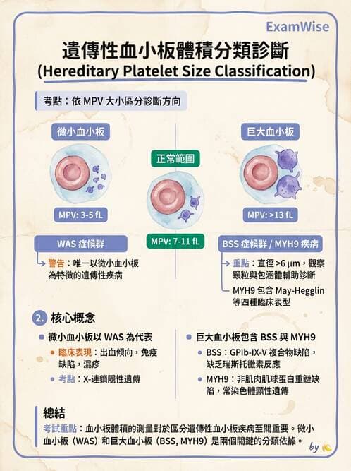 醫檢師 - 出血性疾病與檢驗 - AI 圖文解析預覽