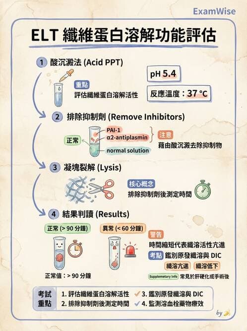 醫檢師 - 凝血因子與凝血檢驗 - AI 圖文解析預覽