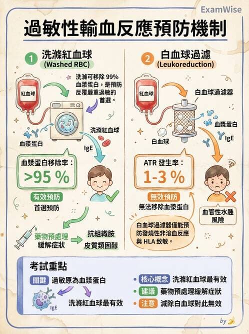 醫檢師 - 輸血反應與血庫品管 - AI 圖文解析預覽