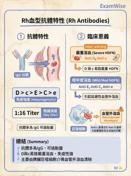 醫檢師 - 紅血球抗原與血型系統 - AI 圖文解析預覽