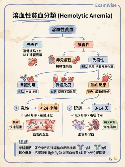 醫檢師 - 輸血反應與血庫品管 - AI 圖文解析預覽