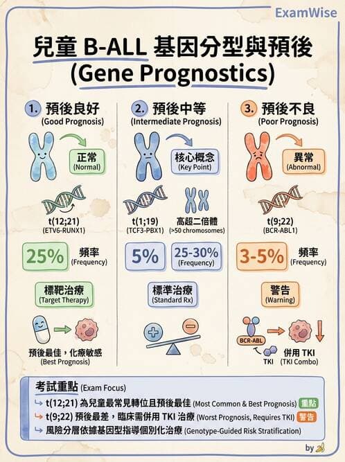 醫檢師 - 急性白血病 - AI 圖文解析預覽