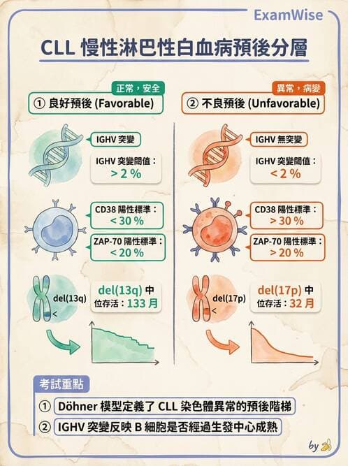 醫檢師 - 慢性血液腫瘤與骨髓增生疾患 - AI 圖文解析預覽