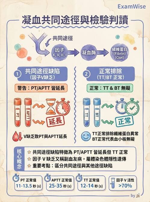 醫檢師 - 出血性疾病與檢驗 - AI 圖文解析預覽