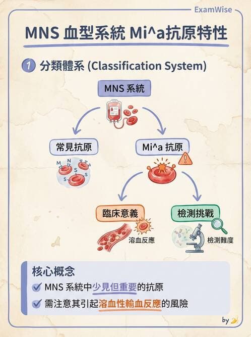 醫檢師 - 紅血球抗原與血型系統 - AI 圖文解析預覽