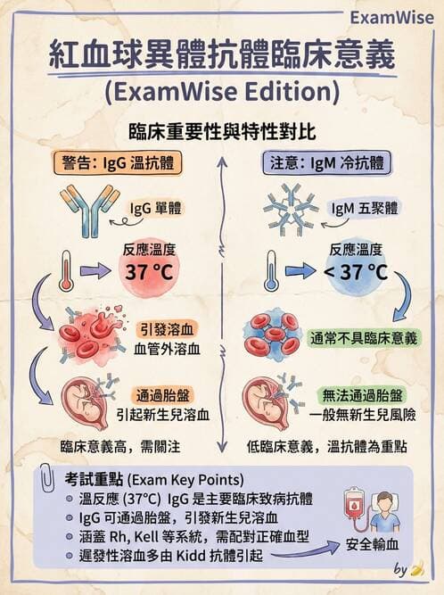 醫檢師 - 紅血球抗原與血型系統 - AI 圖文解析預覽