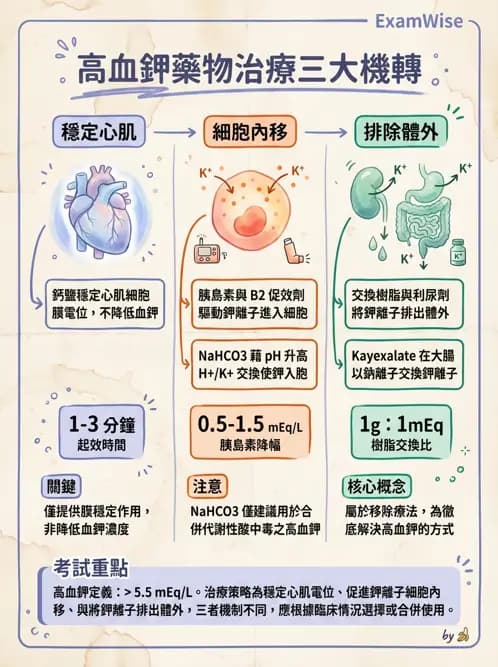 專師 - 鉀離子異常 - AI 圖文解析預覽