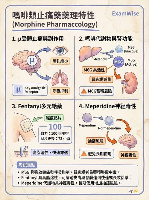專師 - 術後疼痛控制 - AI 圖文解析預覽