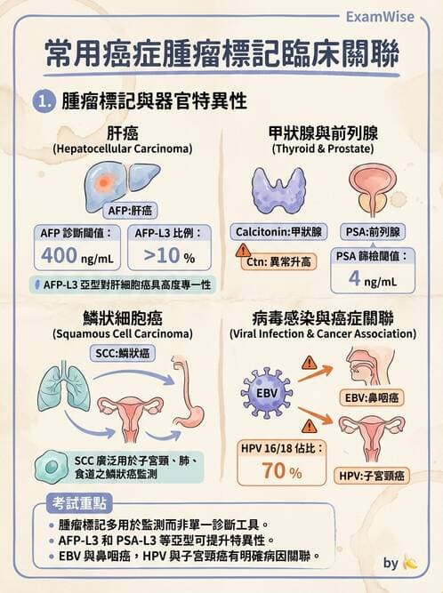 專師 - 腫瘤診斷與分期 - AI 圖文解析預覽