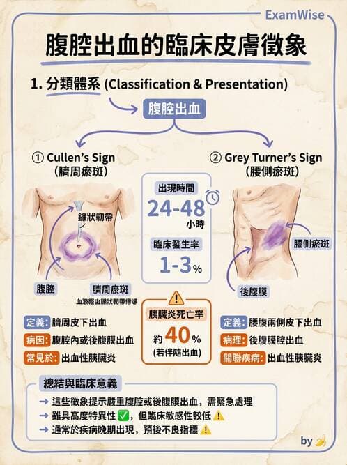 專師 - 膽道與胰臟 - AI 圖文解析預覽