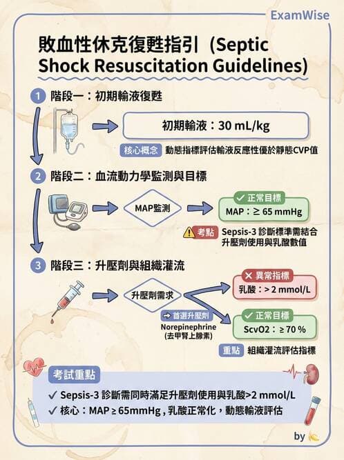 專師 - 敗血症治療與復甦指引 - AI 圖文解析預覽