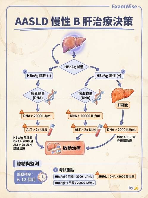 專師 - 肝炎與肝功能 - AI 圖文解析預覽