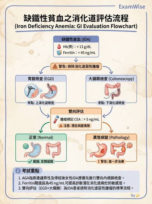 專師 - 大腸直腸癌與息肉 - AI 圖文解析預覽