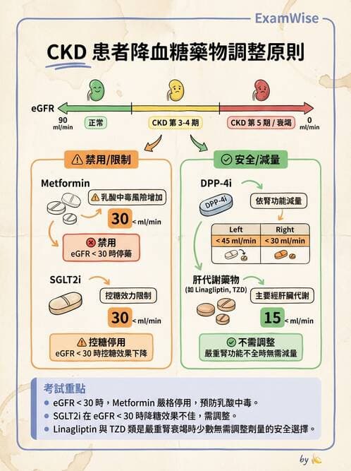 專師 - 降血糖藥物 - AI 圖文解析預覽