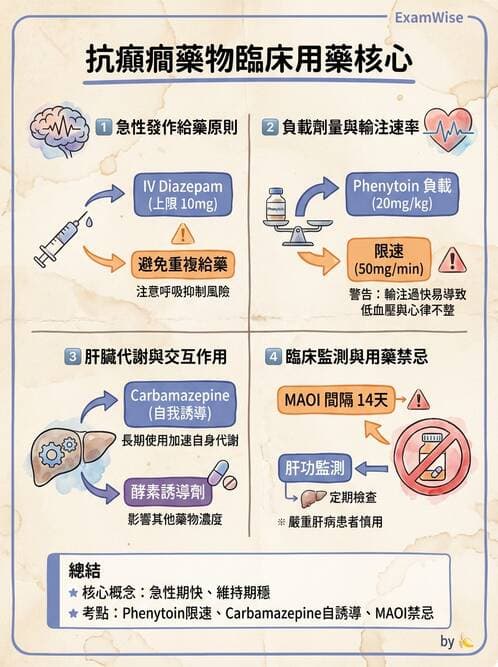 專師 - 神經退化與免疫疾病 - AI 圖文解析預覽