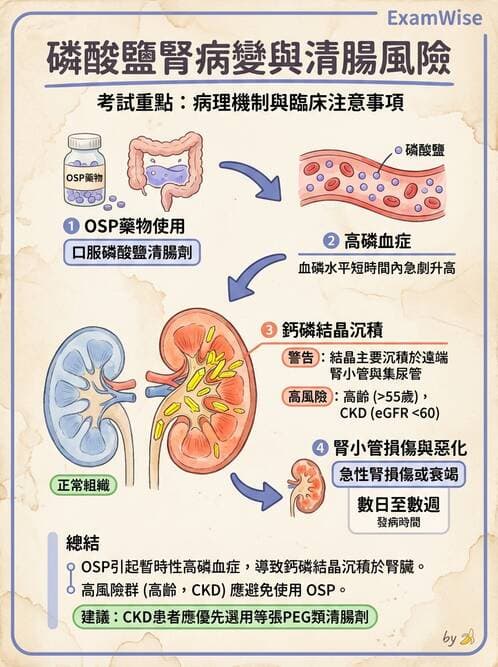 專師 - 糖尿病腎病變與腎絲球疾病 - AI 圖文解析預覽