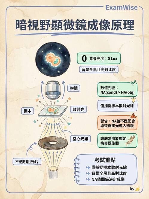 醫檢師 - 顯微鏡原理與操作 - AI 圖文解析預覽