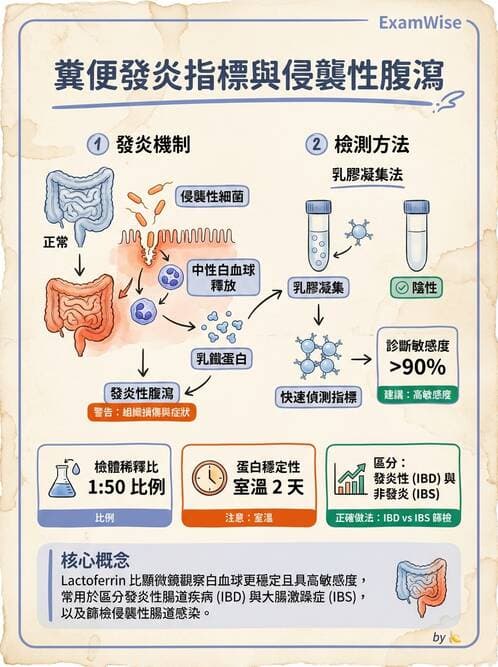 醫檢師 - 糞便常規檢查 - AI 圖文解析預覽