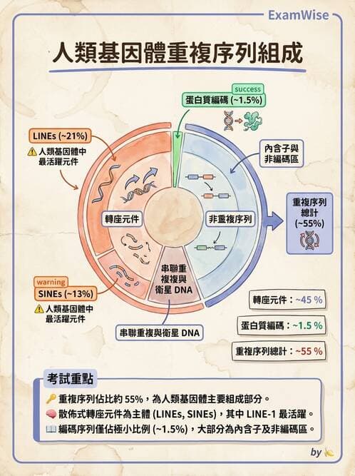 醫檢師 - 基礎分子生物學 - AI 圖文解析預覽