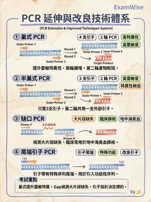 醫檢師 - 核酸擴增與萃取技術 - AI 圖文解析預覽