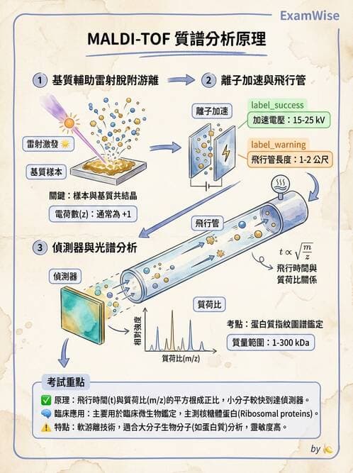 醫檢師 - 分子鑑定與應用技術 - AI 圖文解析預覽