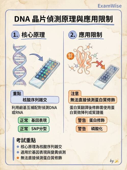 醫檢師 - 雜交探針與晶片技術 - AI 圖文解析預覽