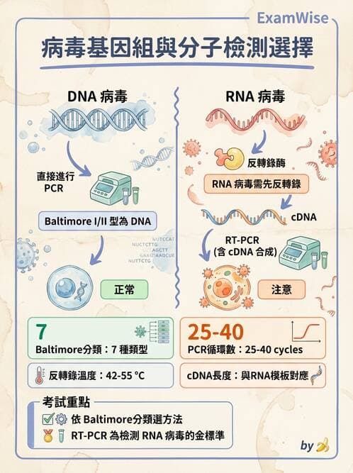醫檢師 - 感染症分子檢驗 - AI 圖文解析預覽